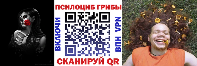 Псилоцибиновые грибы MAGIC MUSHROOMS  сколько стоит  Туймазы 